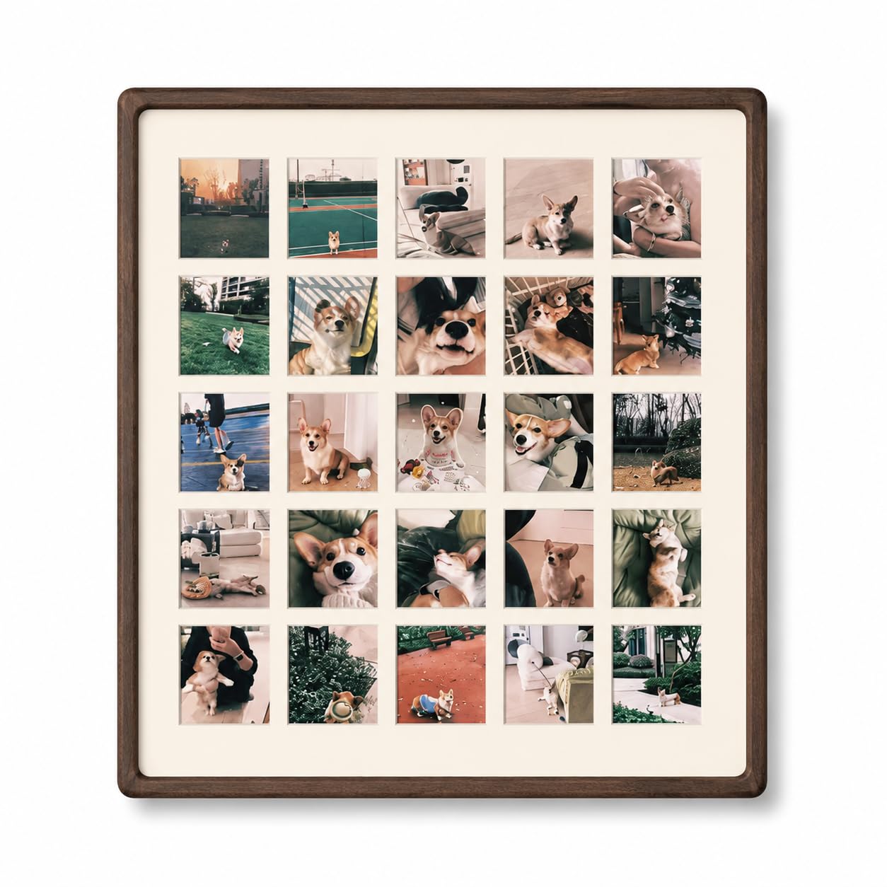 Custom Solid Wood 8-Grid Pet Photo Frame, Walnut Teak, 4 Sizes Wall Dog Cat